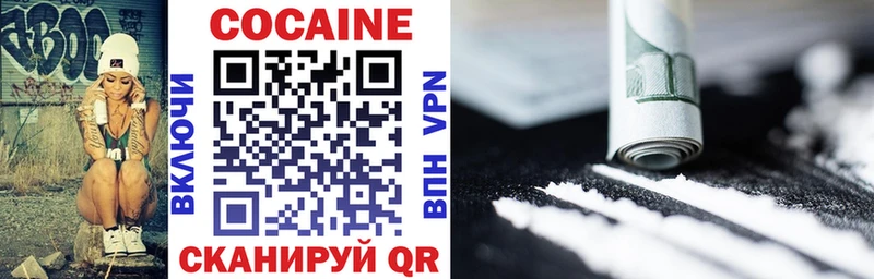 где купить наркоту  Злынка  Cocaine FishScale 