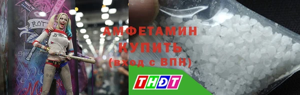 индика Медногорск