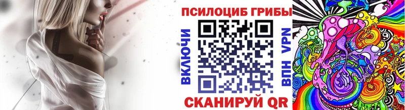 Галлюциногенные грибы Psilocybine cubensis  закладка  Злынка 